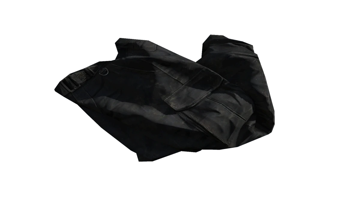 Black Cargo Pants DayZ Standalone Wiki Fandom