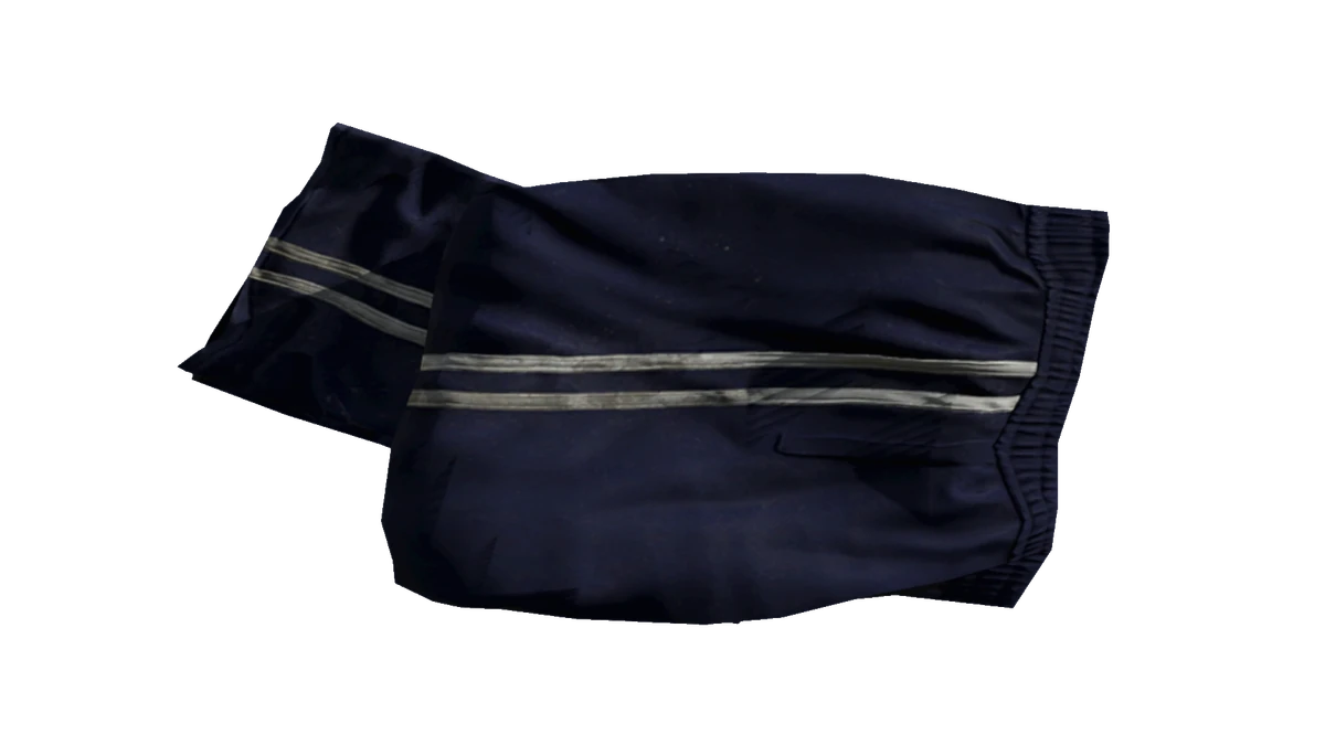 Blue Tracksuit Pants DayZ Standalone Wiki Fandom