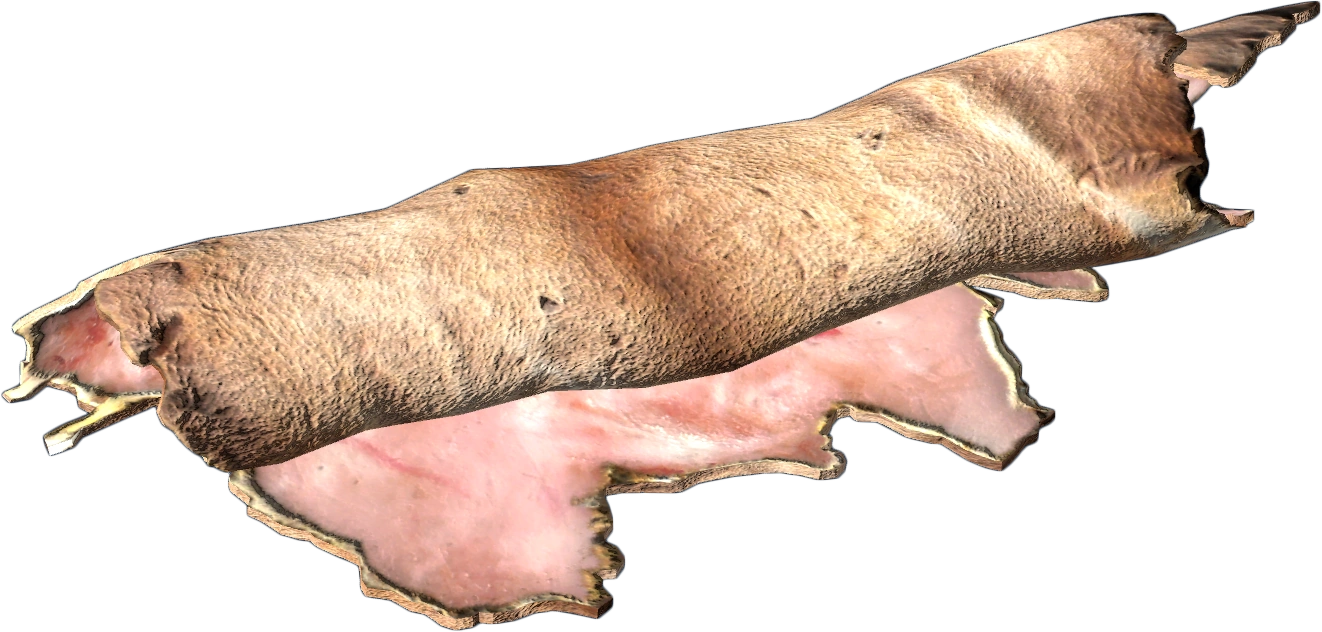 Deer Pelt