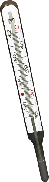 Medical Thermometer