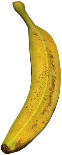 Fresh Banana