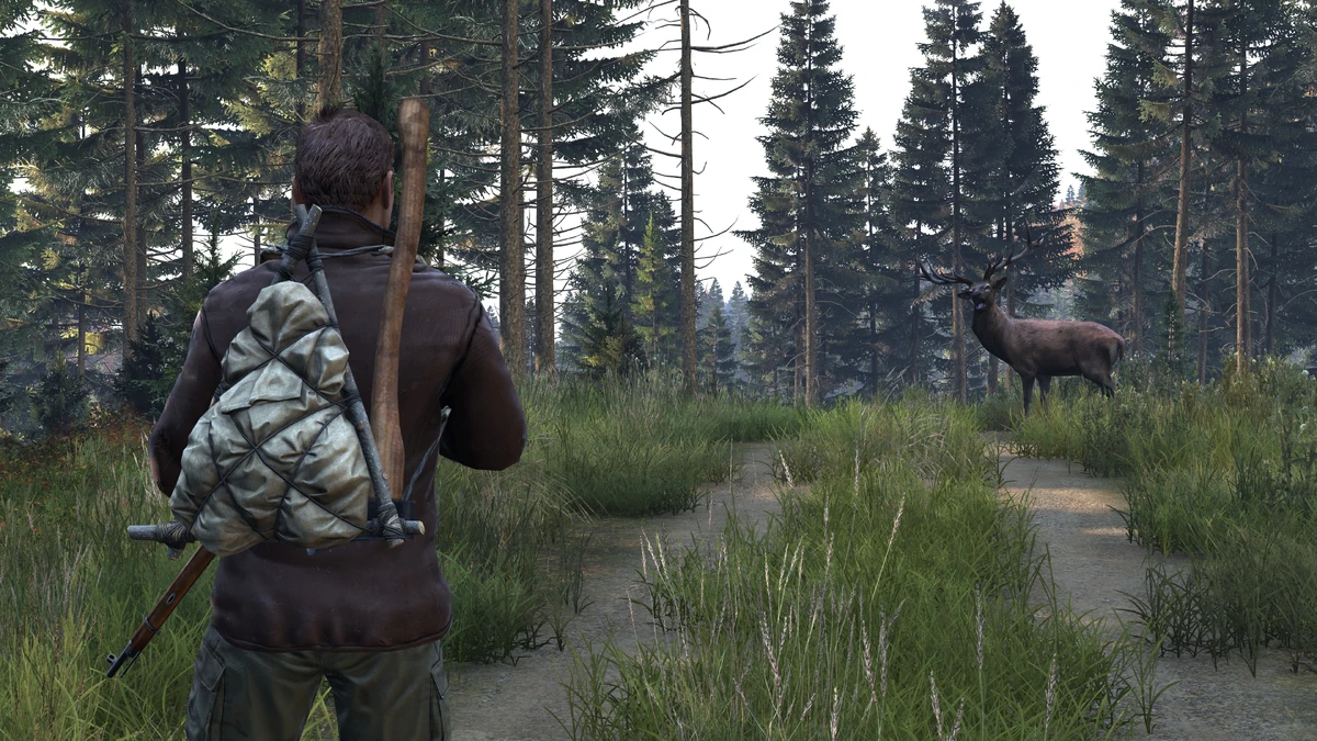 Hunting DayZ Wiki
