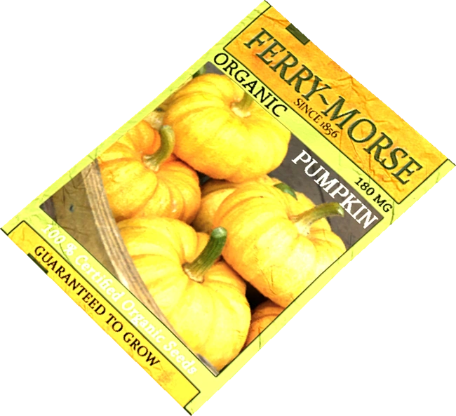 Pumpkin Seeds