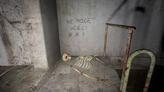 Second Level Skeleton - The writing on the wall translates to "I CAN'T ESCAPE" from Polish