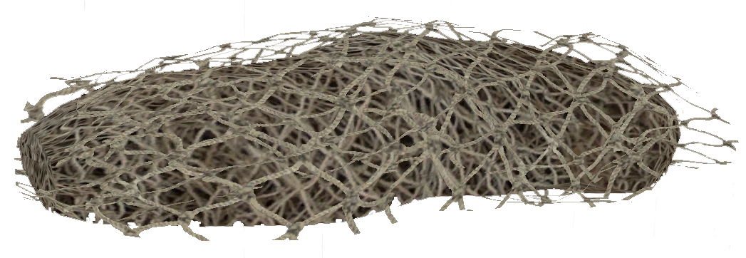 Netting