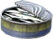 Open Canned Sardines