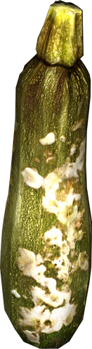 https://static.wikia.nocookie.net/dayz_gamepedia/images/1/13/RottenZucchini.png/revision/latest/scale-to-width-down/131?cb=20141225140811