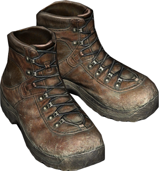 HikingBoots_Brown