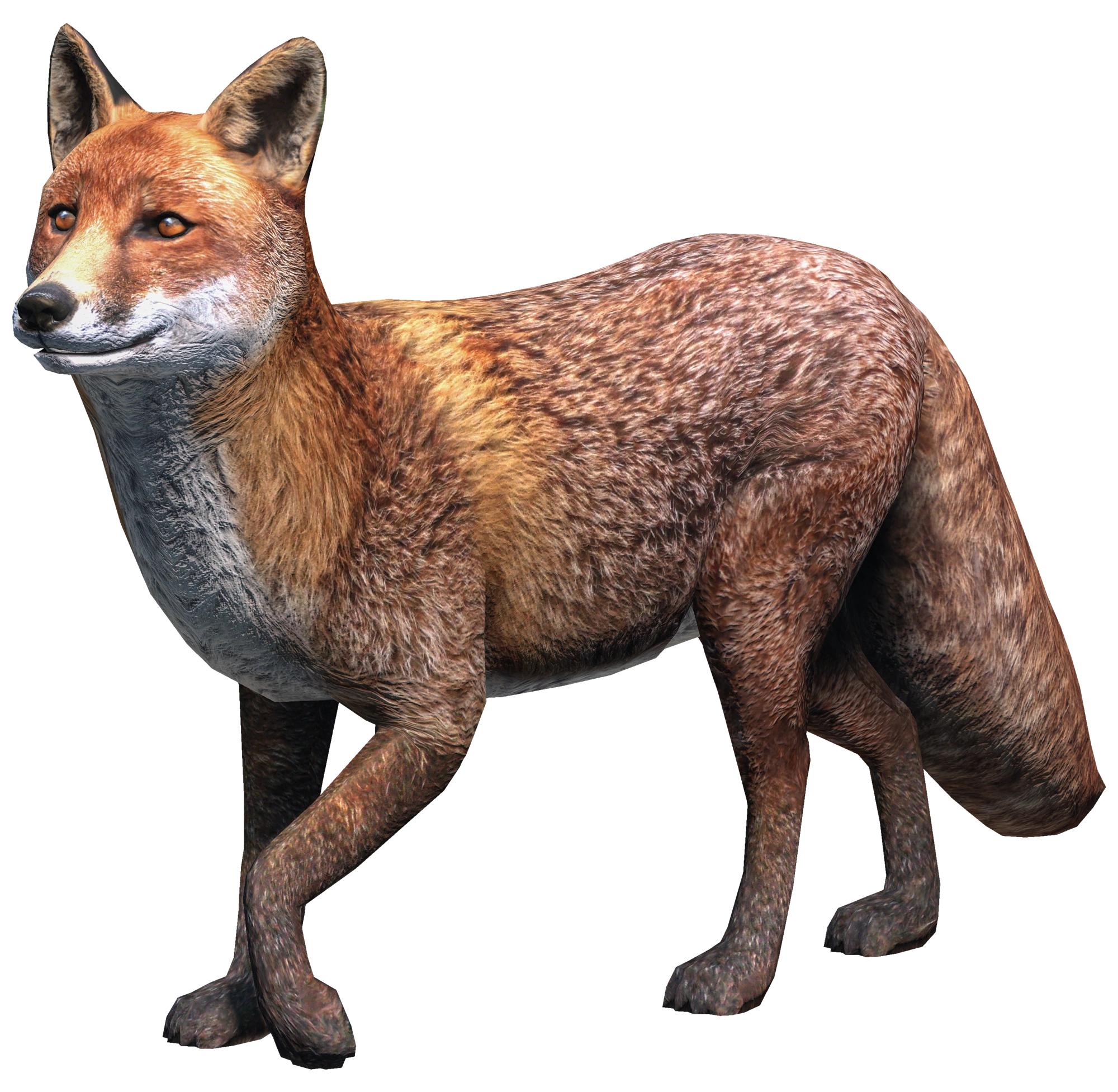 Fox