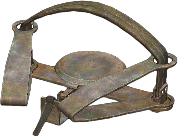 Bear Trap