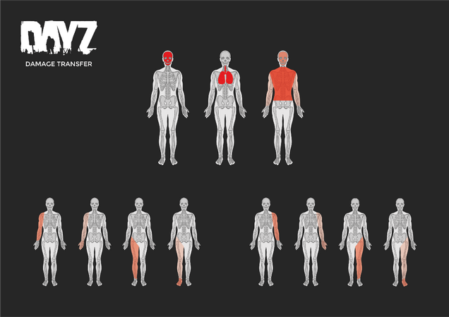 Visualization of Damage Transfer