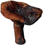 Red Pine Mushroom (Burned)