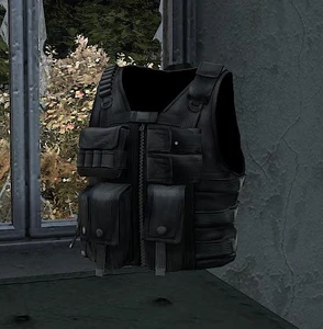 Tactical Vest (DayZ Alpha) in "worn" condition