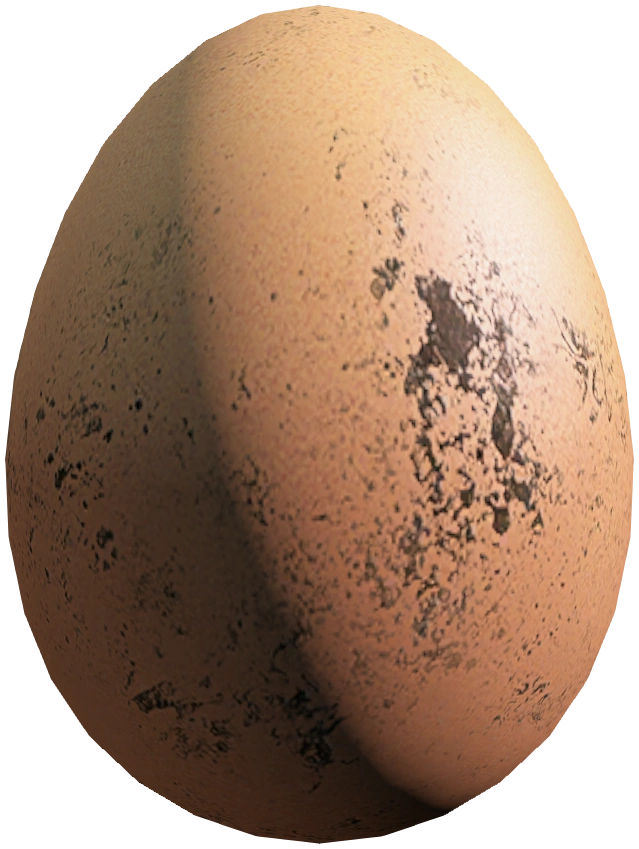 Egg