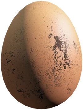 Egg