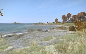 CapGolova 1