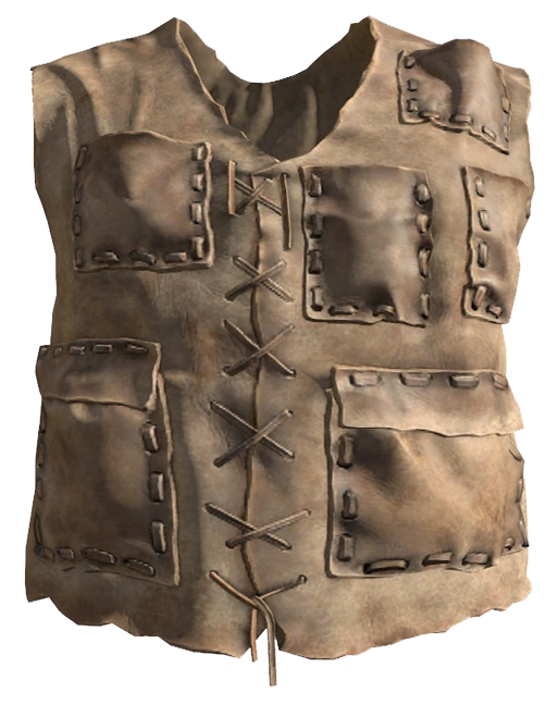 Leather Vest