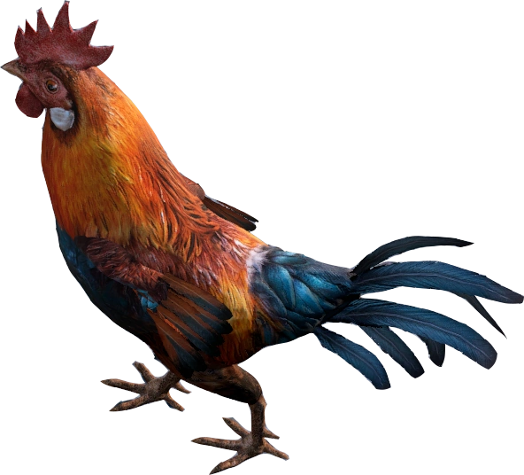 Rooster
