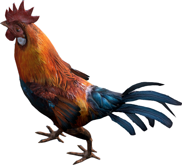 Rooster Dayz Wiki