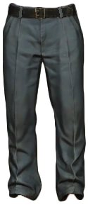 Police Pants
