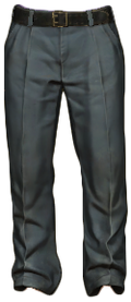 https://static.wikia.nocookie.net/dayz_gamepedia/images/3/31/PoliceUniformPants_Model.png/revision/latest/scale-to-width-down/120?cb=20150305114109