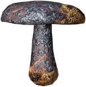 Field Mushroom (Burned)