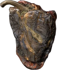Dried