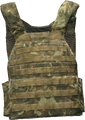 Plate Carrier (Camo) (Chernarus only)