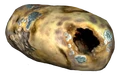 Potato (Rotten)