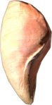 RawChickenBreast.png