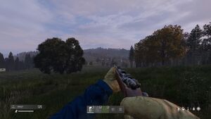 User Interface - DayZ Wiki