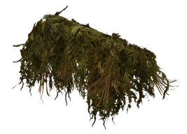 Ghillie Rifle Wrap (Mossy) (Chernarus only)