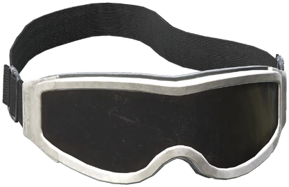 Ski Goggles (White/Dark)