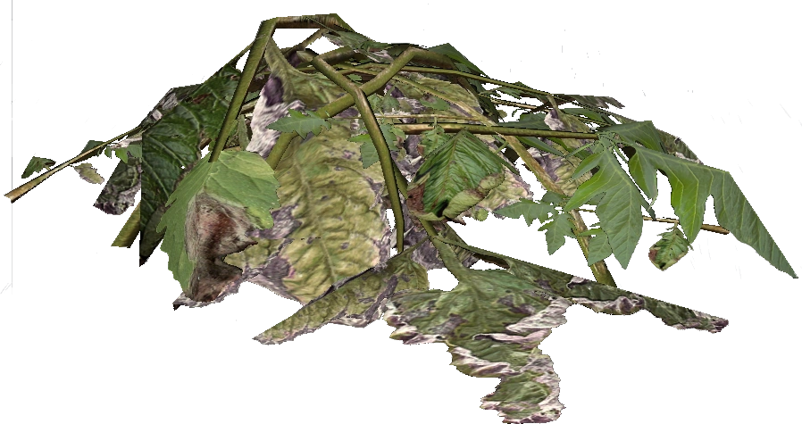 Plant Material