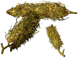 Cannabis (Dried)