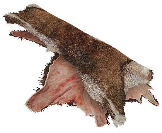 Mouflon Pelt