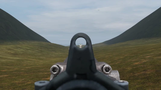 Backup Sight, Damaged