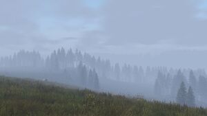 Foggy 1