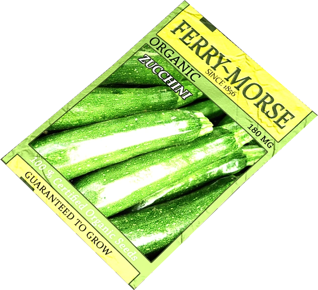 Zucchini Seeds