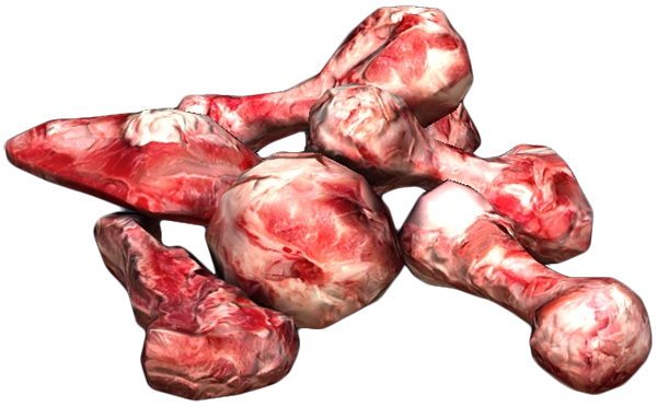 Bones