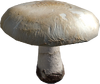 Champignon.png