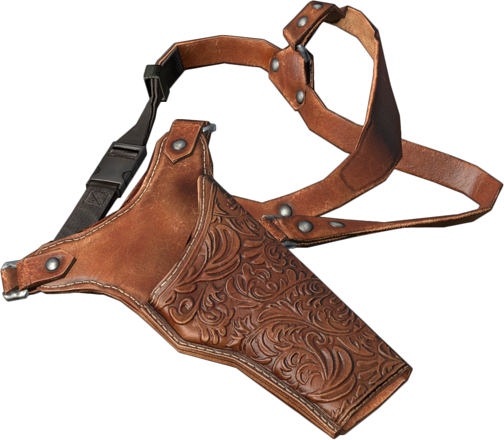https://static.wikia.nocookie.net/dayz_gamepedia/images/6/60/Holster01.png/revision/latest?cb=20170520123729