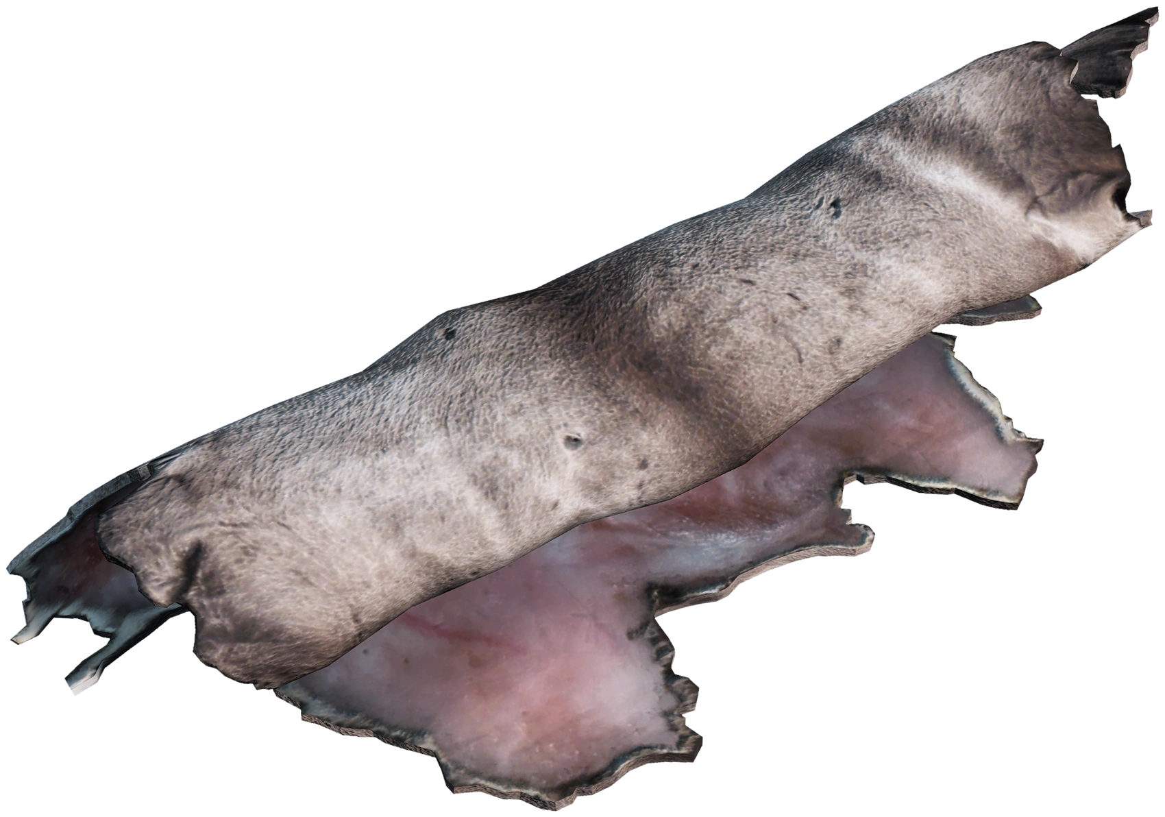 Reindeer Pelt