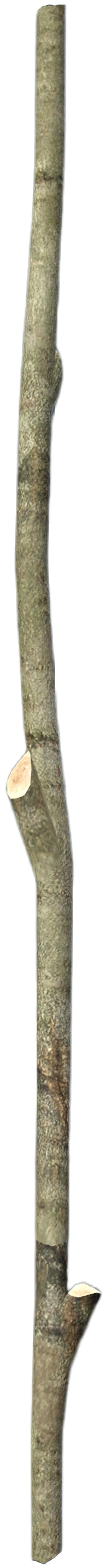 Long Stick