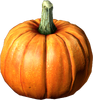 Pumpkin.png