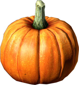 Pumpkin - DayZ Wiki