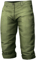 https://static.wikia.nocookie.net/dayz_gamepedia/images/6/67/ThreeQuarterPants.png/revision/latest/scale-to-width-down/120?cb=20160517155957