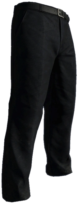 Suit Pants