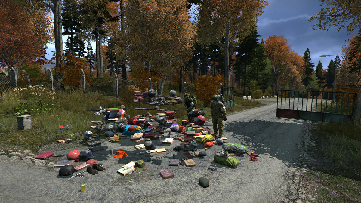 как начать играть в dayz в стиме фото 41