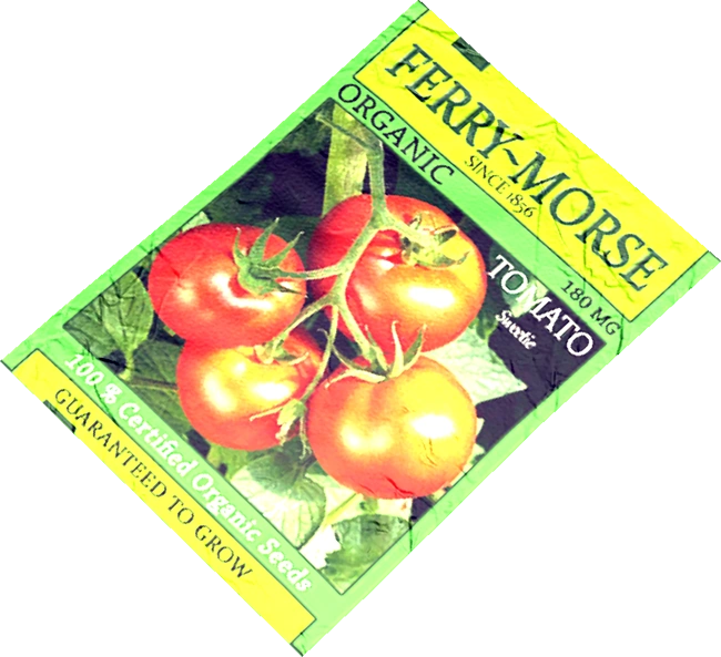 Tomato Seeds